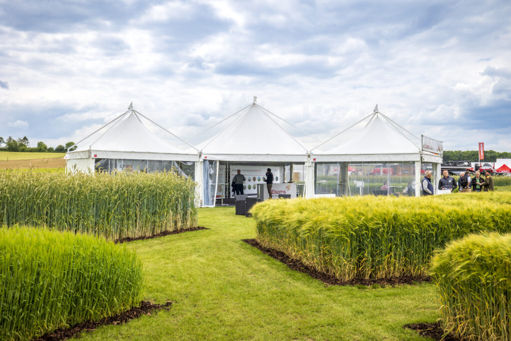 Piazza pagodas with clear walls, linked to create a larger exhibitor area at Cereals exhibition. Supplied and installed by GL events UK