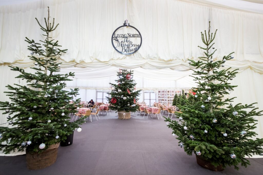 Living North Xmas Fair 2017 9223