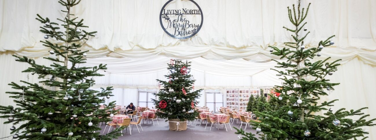Living North Xmas Fair 2017 9223