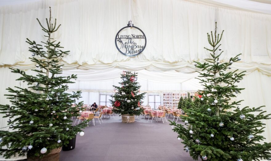 Living North Xmas Fair 2017 9223