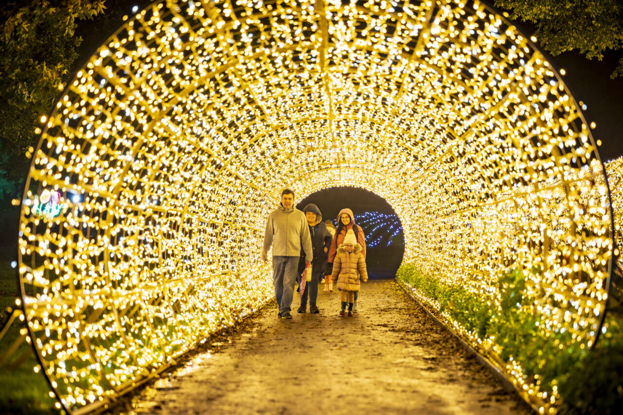 Tunnel of light, Sunderland, supplied by Field and Lawn
