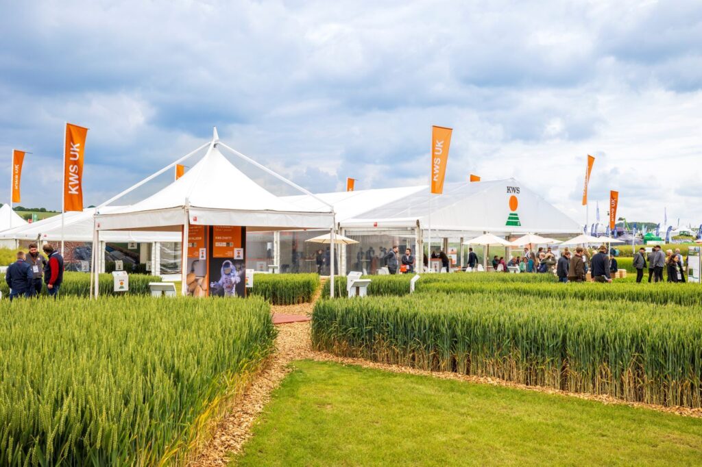 Cereals 2024 054