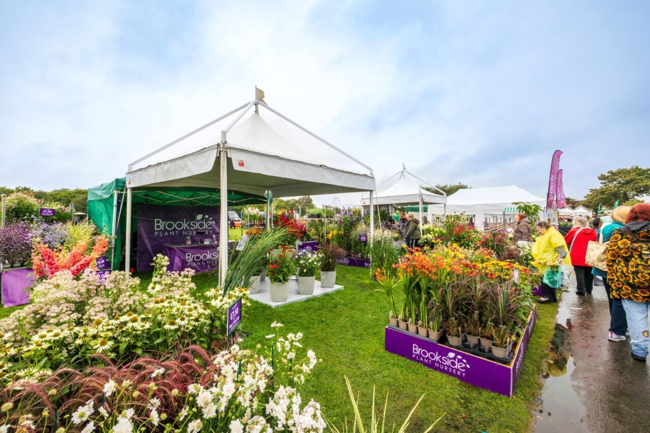 Southport Flower Show 2024 217
