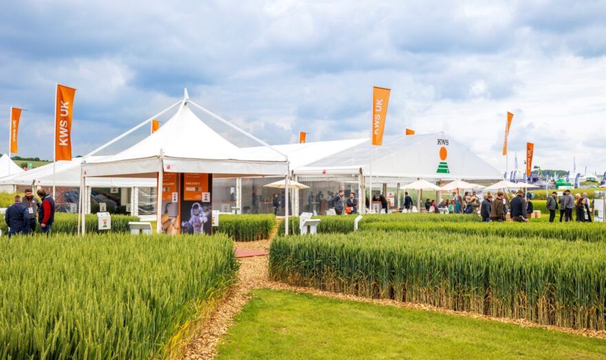 Cereals 2024 054